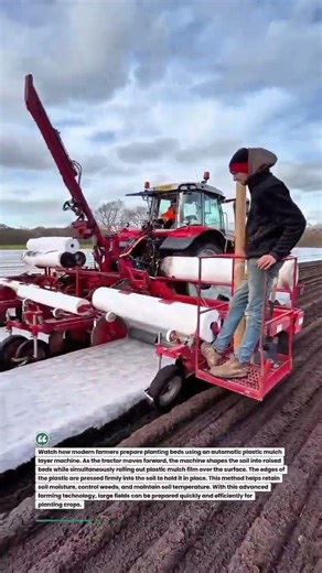 Automatic Plastic Mulch Layer Machine in Action #farming #agriculture #farmtech