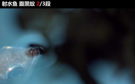 Exploring Insect Interactions with Their Environment