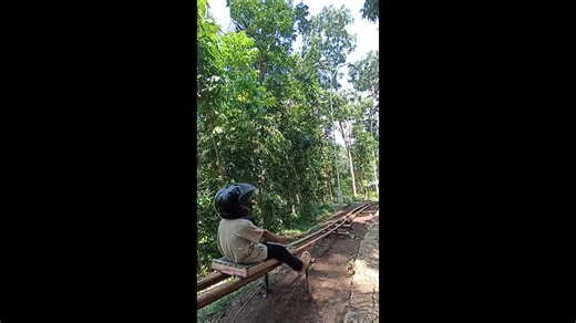 Child rides epic downhill track made from palm trees
