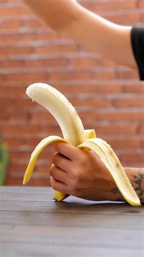 3M views · 10K reactions | Grow, hack, repeat with time saving gardening hacks | 5-Minute Crafts | Facebook