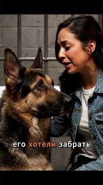 A few minutes before the execution, the prisoner asked to see the dog - their meeting revealed th...