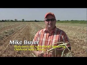 Harvesting and Drying Forage Sorghum - Developing a Sustainable Biomass Production System