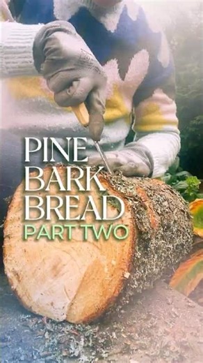 Pine Bark Flour Part 2· Pine Bark Flour into Bread