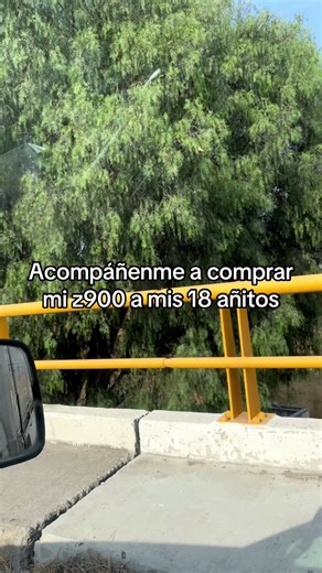 Mi sueño de comprar la z900 a los 18 años