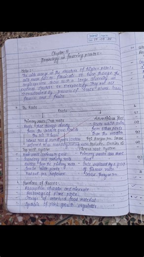 Biology | Chapter 5 | Morphology in flowering plant | Notes | Class 11 | Biology class 11th | NEET