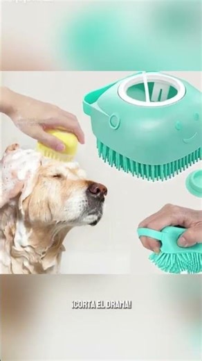El secreto para un baño profesional (y barato) en casa!! #perros #gatos #mascotas #dogsoftiktok