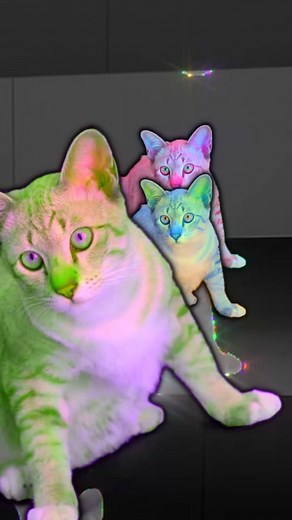 @thealienarms on Instagram: "Season 15 recap"