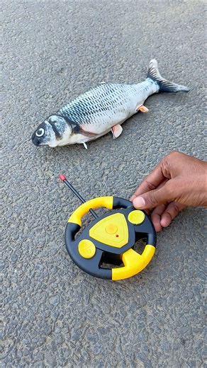 Wow! Remote control fish delm testing