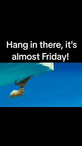 Happy Thursday 🙂🙂 #humor #funnyvideo #funny #funnymemesdaily #memes #memesdaily #thursdayhumor #thursday #iceage | Funny thoughts and jokes.