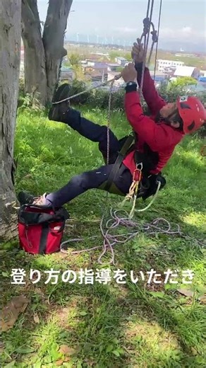 [Tree Climbing] I participated in an event held at Noshiro Park!!