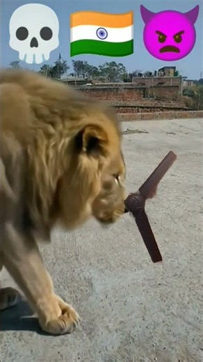 like support kar do na bha Jo video dekhna like to kar dena Sher karne wala software support ka🇨🇨🇰🇼