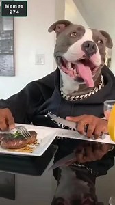 Try not to laugh :D | Memes 274