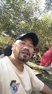 Gayok Gayok Singer nangna git tarienga ringbo mosa😅😅😅 #git #ringoba #manpaja #angade | Newbard M Sangma