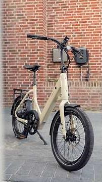 Small E-Bike, Big Performance?! Tenways CGO Compact
