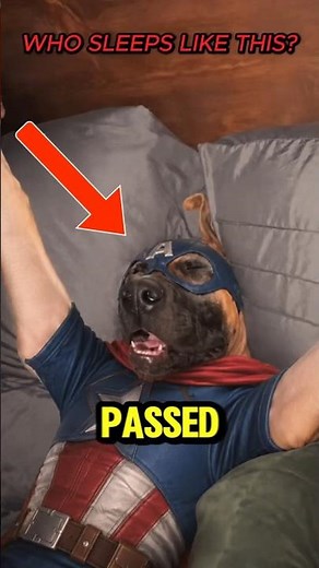 Top 5 Sleeping Dogs Who Completely Gave Up 💀 #shorts