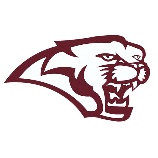 Basketball Recap: Central Noble's Run of Three Straight  Victories Now Over