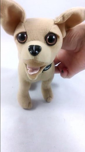 Taco Bell Dog Chihuahua "Yo Quiero Taco Bell"