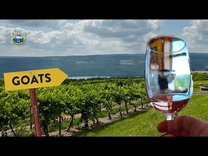 These Three Finger Lakes wineries make EVERYONE happy!