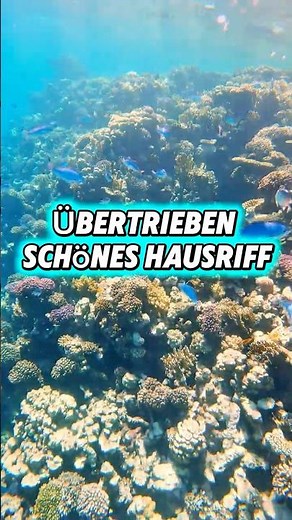 Warum ich das Pickalbatros Citadel gewählt habe
