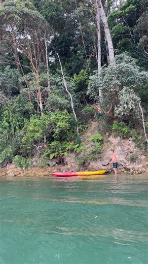 Kookslams on Instagram: "Wanna see a magic trick? #mistakesweremade"