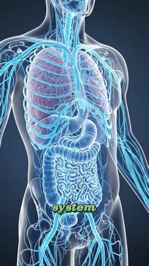 The Secret Power of Cucumber 🥒 You Didn’t Know!