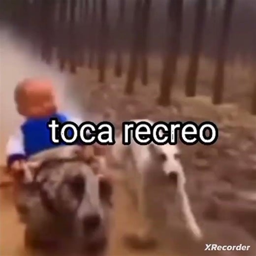 Contexto de mi salón Xd (créditos) #humor #memes #yosoydelos7mil