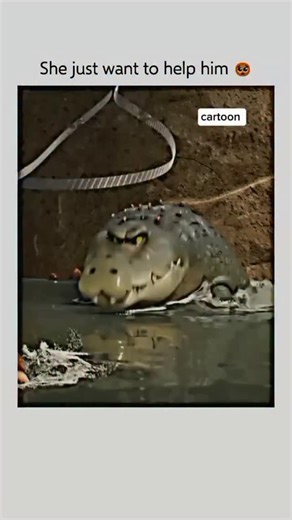 kartar boy880 | 🐊 Interesting Fact: Back to the Outback (2021) — This animated adventure centers on a group of zoo animals considered “monsters” who... | Instagram