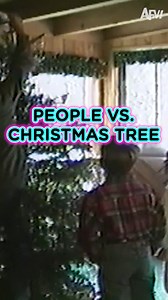 27K views · 264 reactions | The battle of tinsel and tumbles begins! 藍 | AFV Classics | Facebook