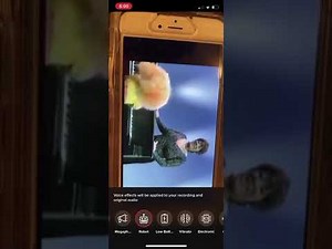 Sesame Street gospel alphabet song the ABC with Patti LaBelle