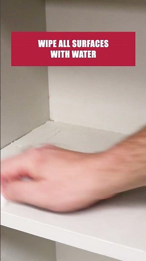 The Quick Guide to Cigarette Beetles [DIY Pantry Pest Control]