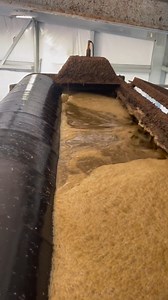 We run our manure through a seperator that allows us to better utilize our solids and liquids. | TDF Honest Farming