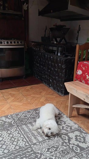 NO PONE NI UN PESO , !!