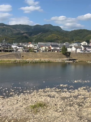 ♡ 𝓀𝒾𝓈𝓊𝓂𝒾 ♡ on Instagram: "＼家族みんな大満足の温泉旅♨️✨／ 筑後川沿いに佇む「ホテル花景色」🌸 目の前に広がるのは、自然いっぱいの筑後川。 四季折々の景色を眺めながら過ごす時間が 本当に贅沢で、子供たちも大はしゃぎでした🥰 そして一番の魅力は、なんといっても“美肌の湯”！ pH9.1の強アルカリ性で、九州でも 珍しい自家源泉かけ流し♨️ 入った瞬間からお湯がトロトロで、 お肌がしっとりすべすべ✨ まるで天然の化粧水に浸かっているみたいで、 出たあともずっと潤いが続く感じ💆‍♀️ 本館の大浴場「桜の湯」には、なんと滑り台付きの浴槽も！ 子どもたちは大興奮で、何度も滑って大笑い🤣 別館の「虹の湯」や、5つの趣きある家族風呂もあって それぞれ雰囲気が全然違うから、お風呂めぐりも楽しい💓 ＊大浴場は許可を取って撮影してます 今回は、家族風呂の中でも1番人気の 「ききょうの湯」に入ったよ♨️ 開