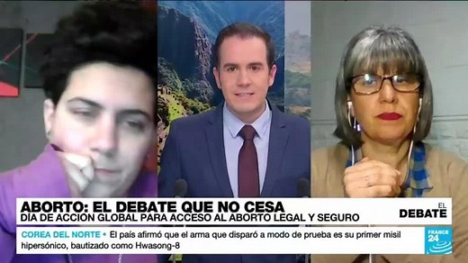 Aborto legal, seguro y gratuito: un debate que no cesa