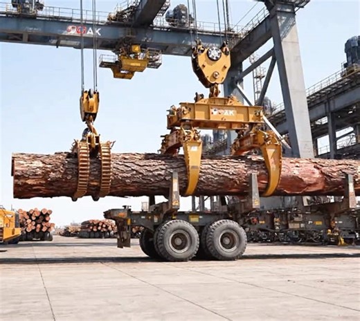 Exploring the Logging Process in a Sawmill Factory
