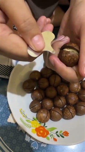 how to open macadamia nuts easily#shorts