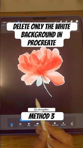 Remove the white background from your Procreate watercolor illustration for a transparent image
