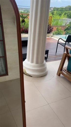 #zyxcba #tiktokusa🇺🇸 #fypシ