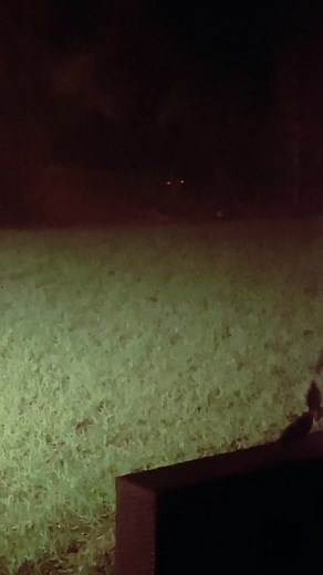 Umm mothman? 👀 #macysownyourstyle #AerieREAL #mothman #cryptid #mystery #unknown #ufo #creature #caughtoncamera #whatisthat #unknown