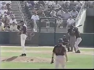 Pigeon gets hit by baseball and explodes