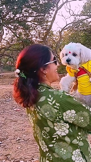 maya hoge maya 😍 #dog #pets #trendingsong