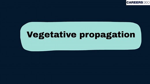Vegetative Propagation - Natural And Artificial Methods: Definition, Types, Examples