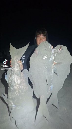 some monster pink snapper caught in #perth #australia #fishing #beach #ocean