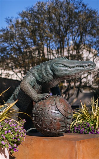 San Francisco State University 🐊 on Instagram: "February is financial aid awareness month here at SFSU! 2026-27 FAFSA/CADAA are open now! We have several events to help you through the application process. Visit the link in our bio to learn more. 💸 Priority deadline is March 2."