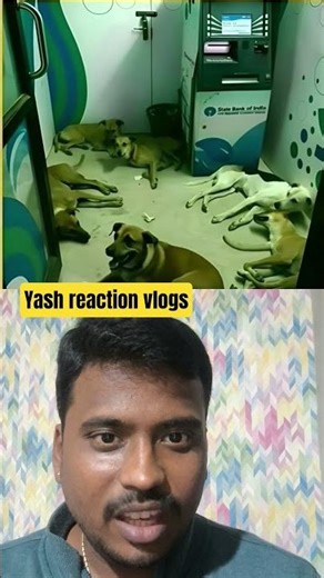 z+ security for Atm #funny #hilariousfails #viral #trending #fun #dogshorts #funniestvideo