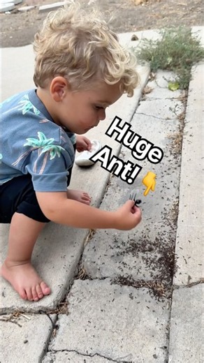 HUGE ANT! 🐜