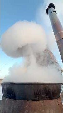 Fish tea at -50°C❄️ / Рыбный чай в -50°С❄️ #pandasakha #food #permafrost