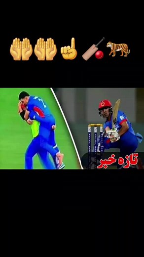 Celebrating Sportsmanship in Cricket: A Captivating Montage