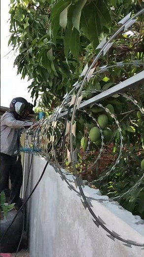 Razor wire installation