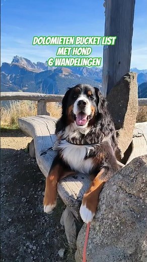 🏔️ Dolomieten Bucket List met je hond! 6 wandelingen